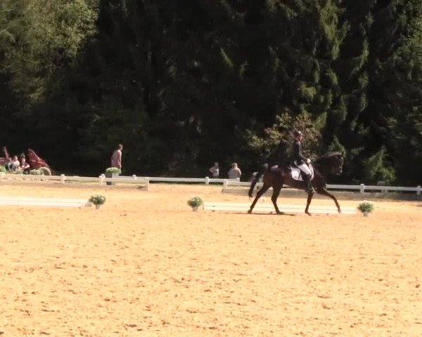 Reitturnier Halver 2016