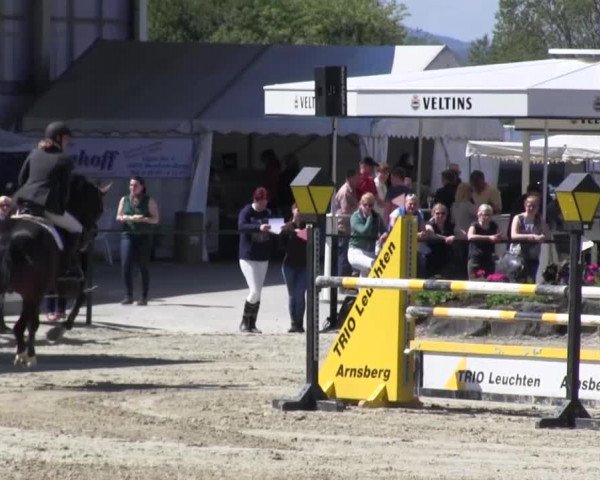Reitturnier Hellefeld 2016