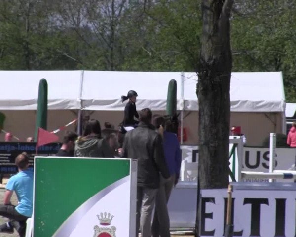 Reitturnier Hellefeld 2016