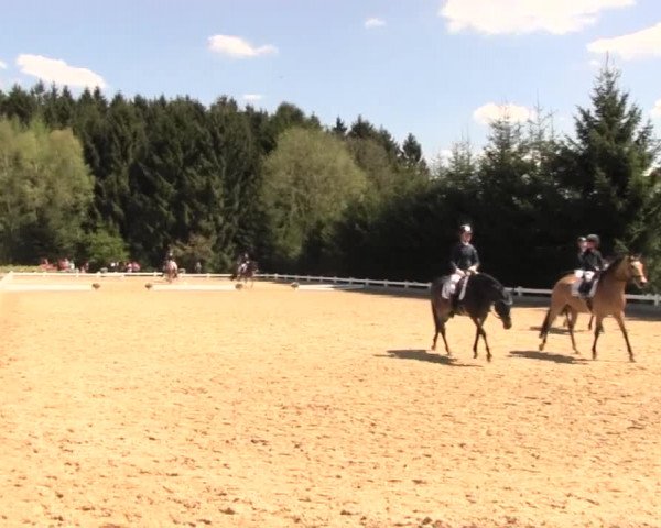Reitturnier Halver 2016