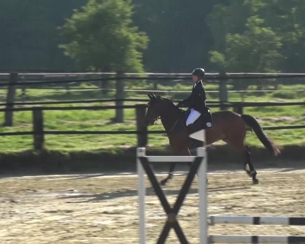Reitturnier Kaarst - Reitanlage Bierewitz 2016