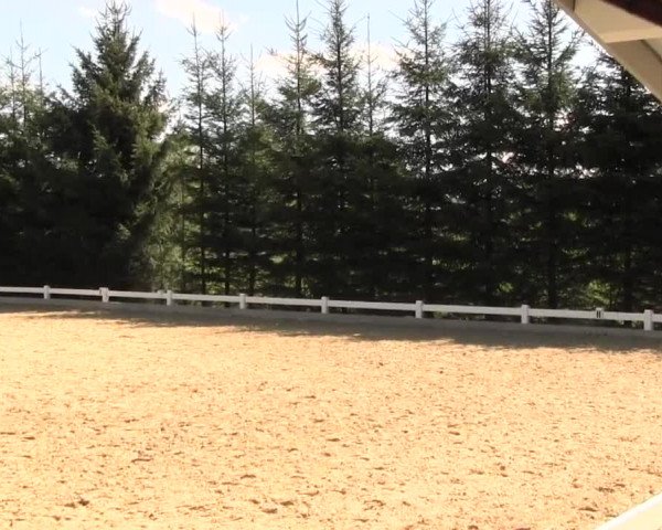 Reitturnier Halver 2016