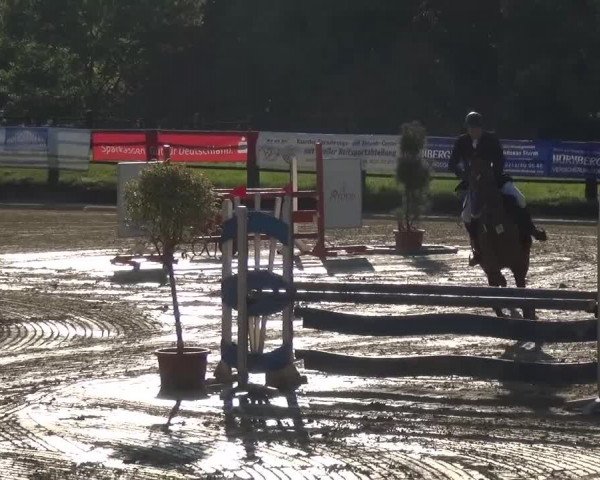 Reitturnier Kaarst - Reitanlage Bierewitz 2016