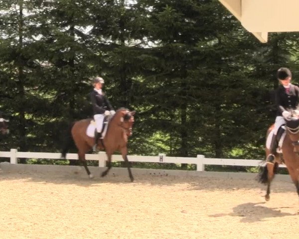 Reitturnier Halver 2016