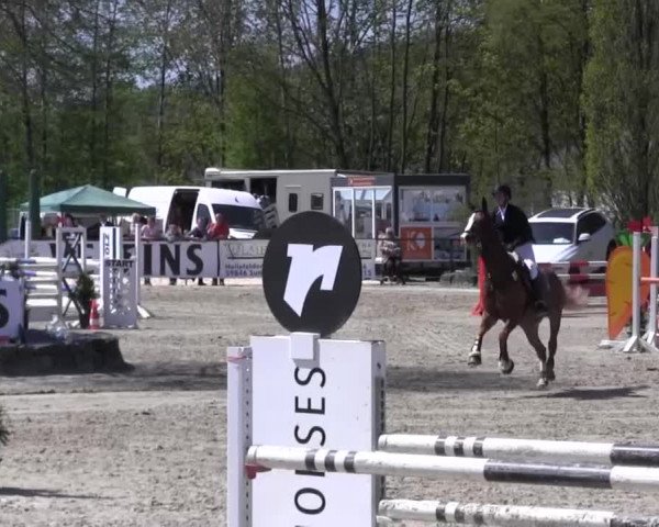 Reitturnier Hellefeld 2016