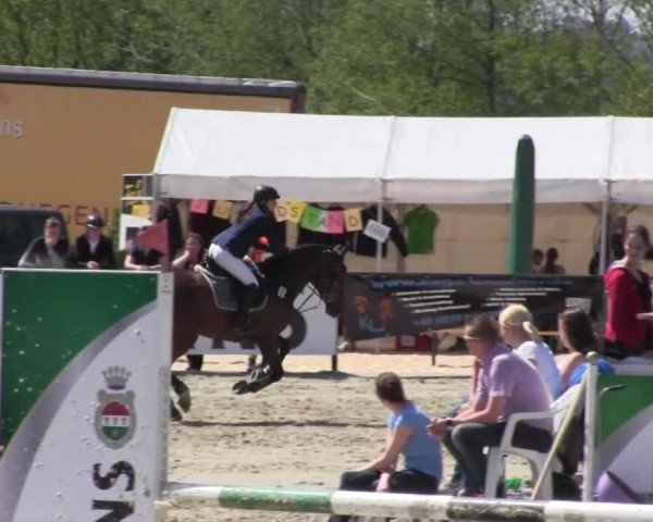 Reitturnier Hellefeld 2016