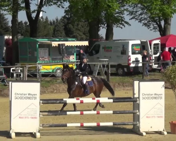 Reitturnier Kaarst - Reitanlage Bierewitz 2016