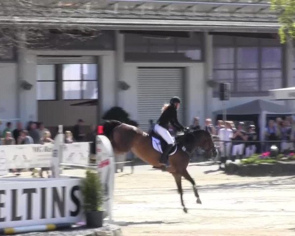 Reitturnier Hellefeld 2016