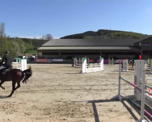 Reitturnier Hellefeld 2016