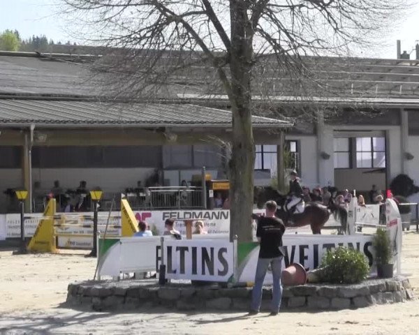 Reitturnier Hellefeld 2016