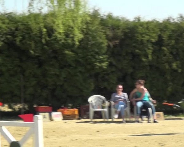 Reitturnier Kaarst - Reitanlage Bierewitz 2016