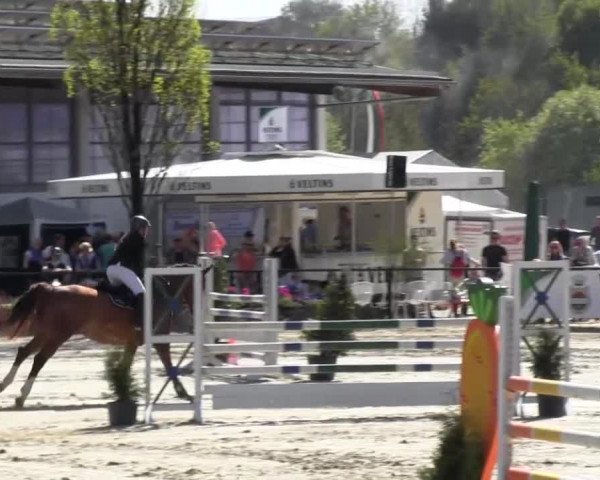 Reitturnier Hellefeld 2016