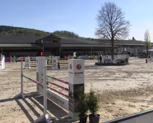 Reitturnier Hellefeld 2016