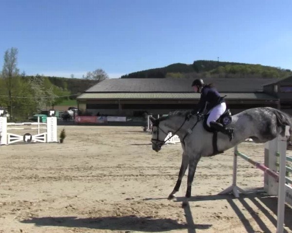 Reitturnier Hellefeld 2016