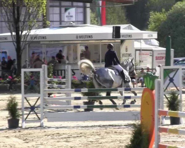 Reitturnier Hellefeld 2016