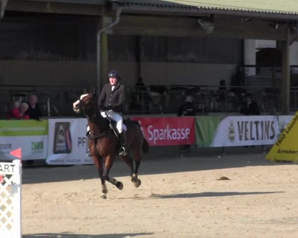 Reitturnier Hellefeld 2016