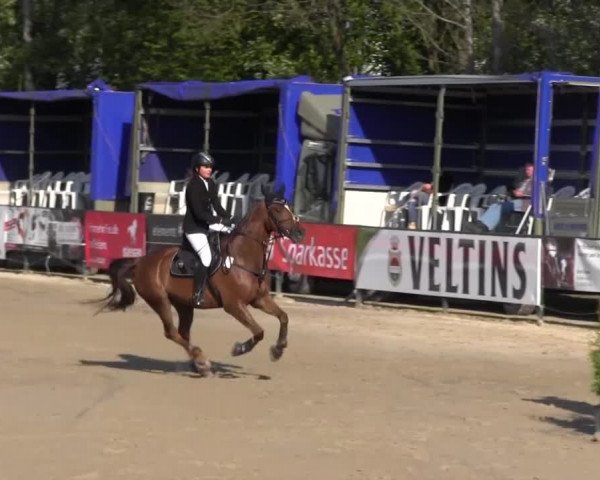 Reitturnier Hellefeld 2016
