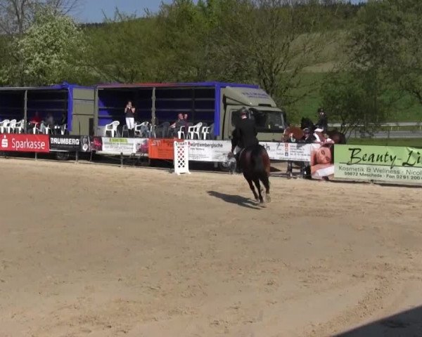 Reitturnier Hellefeld 2016