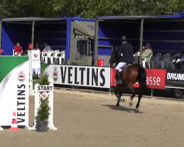 Reitturnier Hellefeld 2016