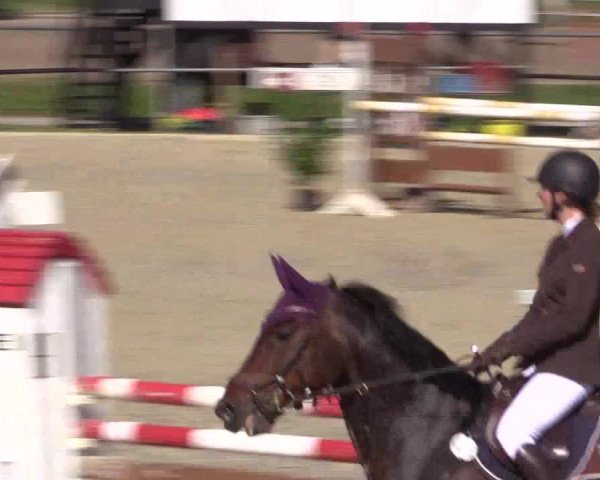 Reitturnier Hamm-Rhynern 2016