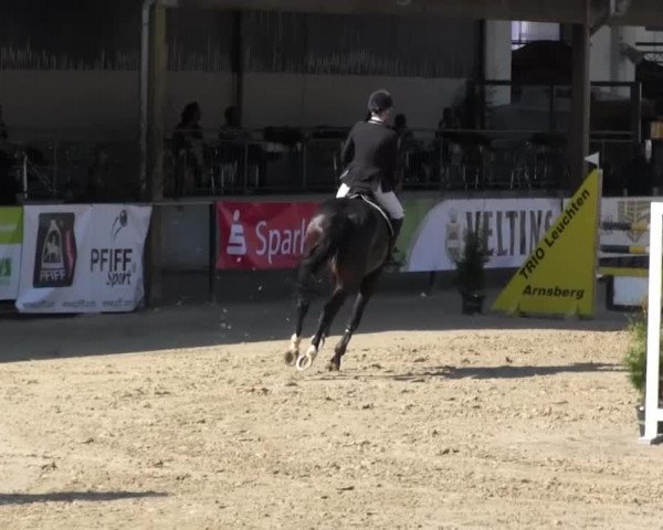 Reitturnier Hellefeld 2016