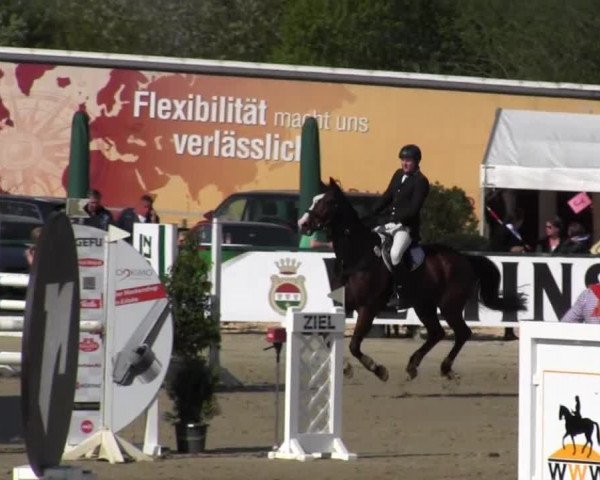 Reitturnier Hellefeld 2016