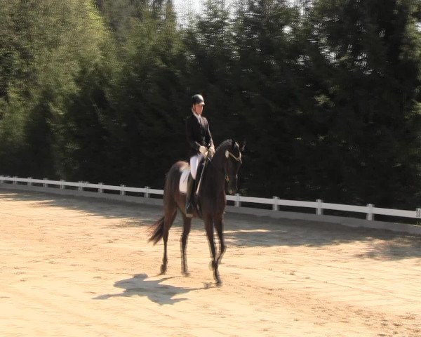 Reitturnier Halver 2016