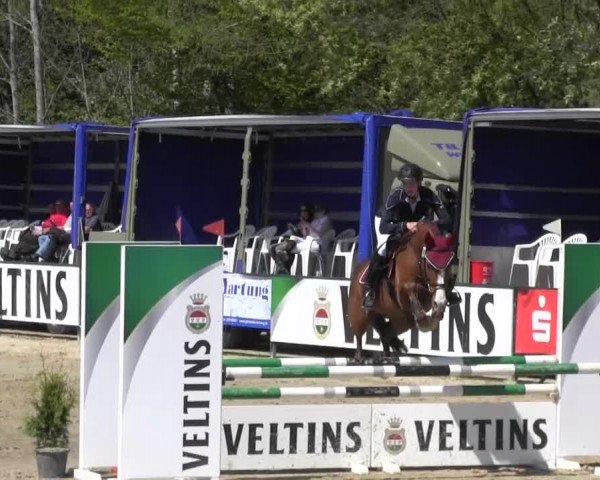 Reitturnier Hellefeld 2016