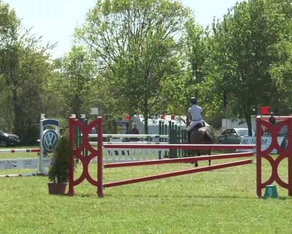 Reitturnier Lienen 2016
