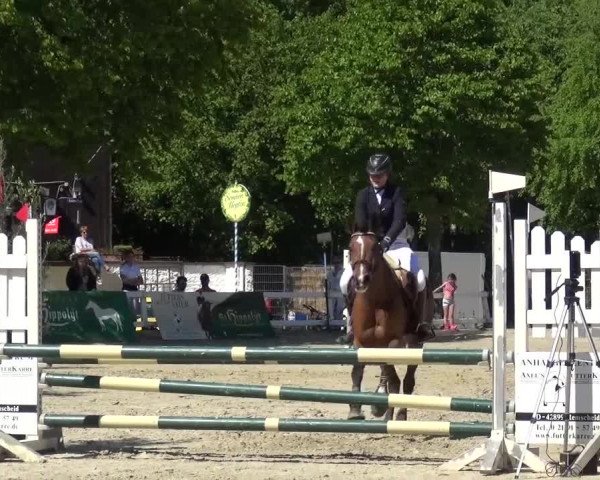 Reitturnier Köln-Seeberg 2016