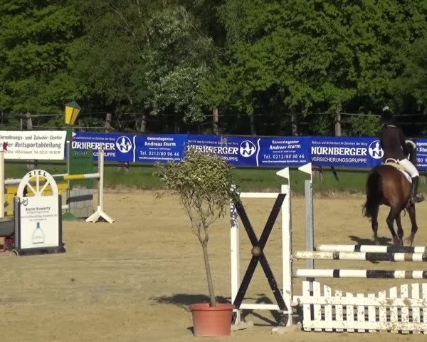 Reitturnier Kaarst - Reitanlage Bierewitz 2016