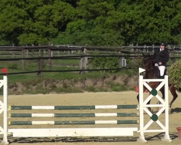 Reitturnier Kaarst - Reitanlage Bierewitz 2016