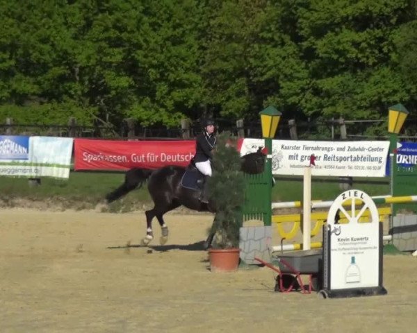 Reitturnier Kaarst - Reitanlage Bierewitz 2016
