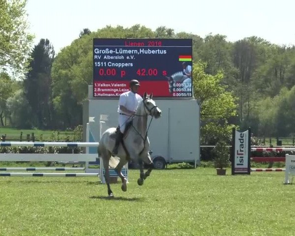 Reitturnier Lienen 2016