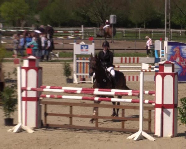 Reitturnier Hamm-Rhynern 2016