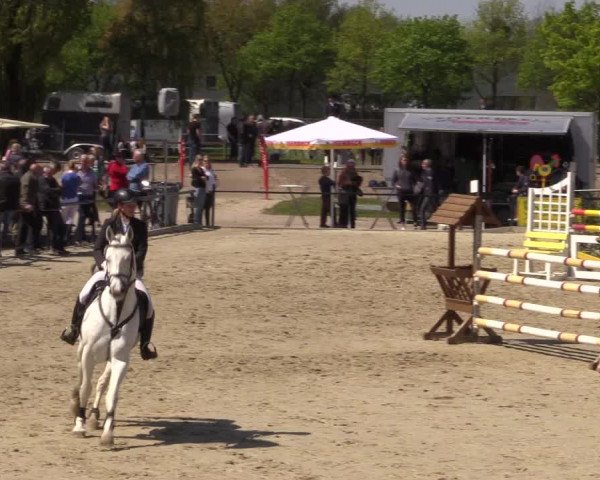 Reitturnier Hamm-Rhynern 2016
