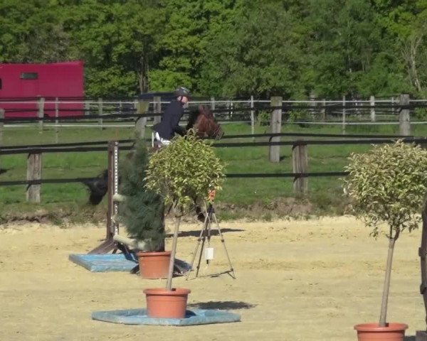 Reitturnier Kaarst - Reitanlage Bierewitz 2016
