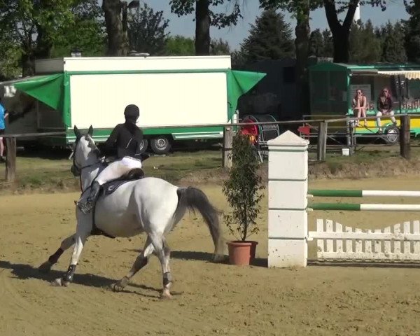 Reitturnier Kaarst - Reitanlage Bierewitz 2016