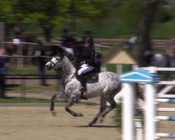Reitturnier Hamm-Rhynern 2016