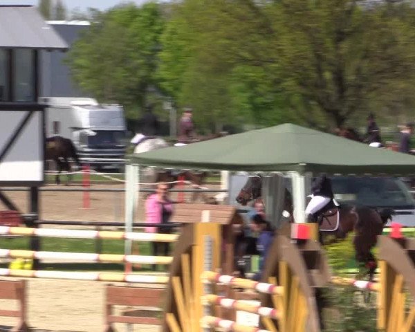 Reitturnier Hamm-Rhynern 2016