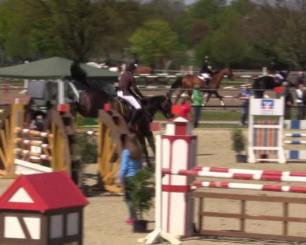 Reitturnier Hamm-Rhynern 2016