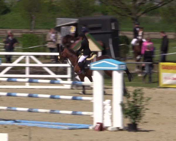 Reitturnier Hamm-Rhynern 2016