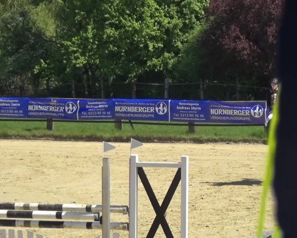 Reitturnier Kaarst - Reitanlage Bierewitz 2016