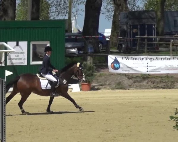Reitturnier Kaarst - Reitanlage Bierewitz 2016