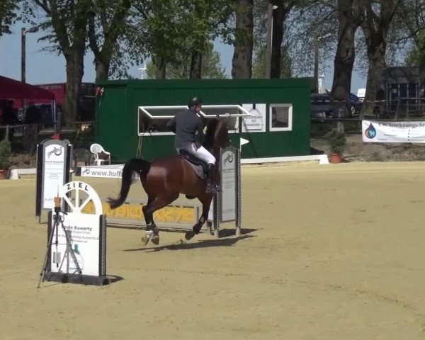 Reitturnier Kaarst - Reitanlage Bierewitz 2016