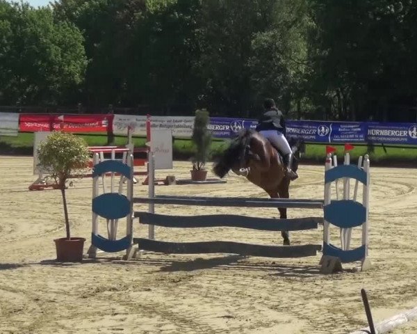 Reitturnier Kaarst - Reitanlage Bierewitz 2016