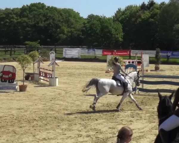 Reitturnier Kaarst - Reitanlage Bierewitz 2016