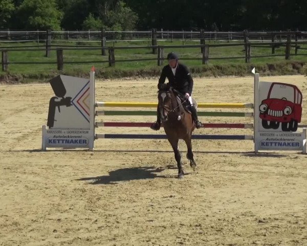 Reitturnier Kaarst - Reitanlage Bierewitz 2016