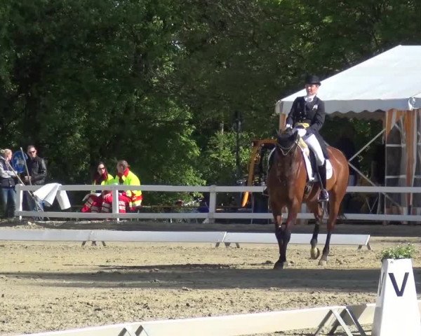 Reitturnier Köln-Seeberg 2016