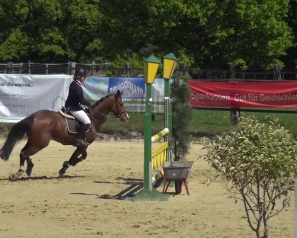 Reitturnier Kaarst - Reitanlage Bierewitz 2016